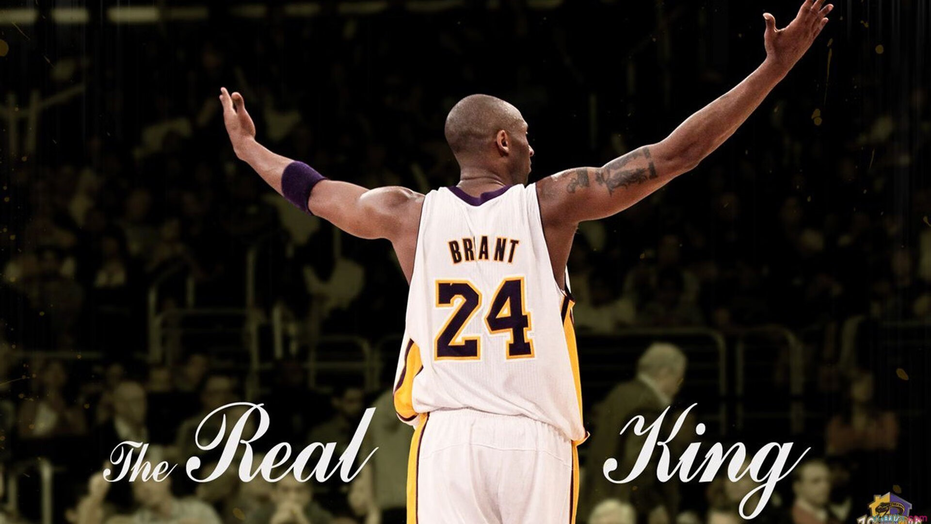 华体会在线-步行者快攻频繁制造轻松得分机会，步行者优先